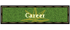 Career