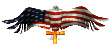 usaeagle.gif