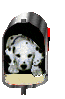 E-mail Agape Dalmatians and Border Terriers