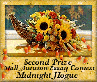 Second Prize