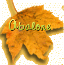 Abalone
