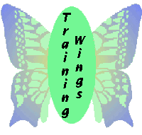 My Training Wings