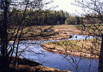 Libya river curles