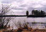 Our bay