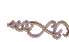 g79blankbuttonR.gif (1656 bytes)