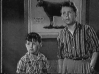 Paul Sullivan as Wally Cleaver