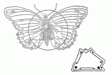 the coded sketch invented by Robert Baden-Powell