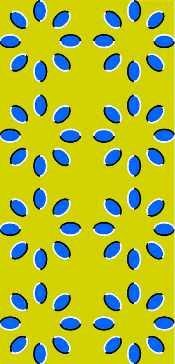 Optical Illusions and Visual Phenomena