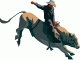Rodeo Cowboy
