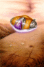 thm_ab07.gif