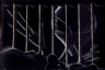 thm_ab17.gif