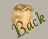 motherback.gif (4940 bytes)