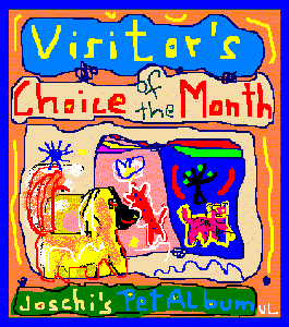 visitor
