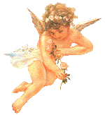 angelfly