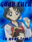 Ami/Mercury = Good luck in your test!