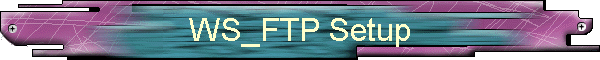 WS_FTP Setup