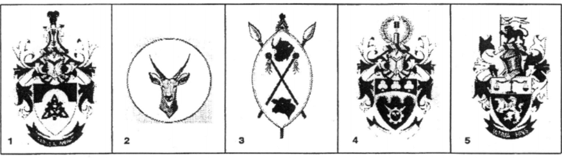 illustrations accompanying Government Gazette No 22518, Notice 713 (first set)
