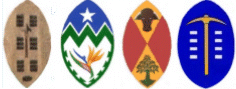 Nguni shield shapes used in South Africa