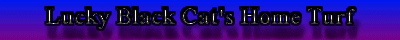 Lucky Black  Cat's Home Turf