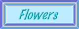 Cooking with Flowers!