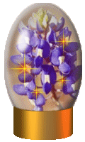 Bluebonnet