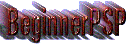 Beginnerpsp.gif (32325 bytes)