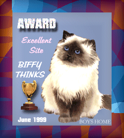 Boy's Home Award