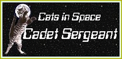 Cadet Sergeant