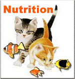 Nutrition Badge