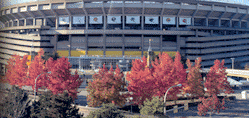 About Three Rivers Stadium