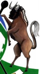 KwaZulu-Natal se wildebees-skildhouer