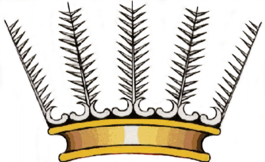 fronds of Modjadji cycad in Limpopos coronet