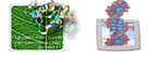 Bioinformatics web