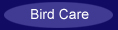 General Bird Care Information