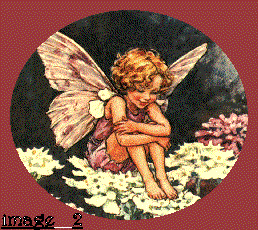 flower fairy