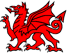 tea with the red dragon