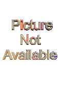 ../Metacreations Painter 5.5.gif (4113 bytes)