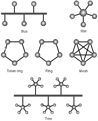 Topology