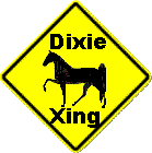 Dixie Crossing