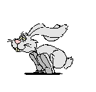 Wanna to be a Hare? Contact us!