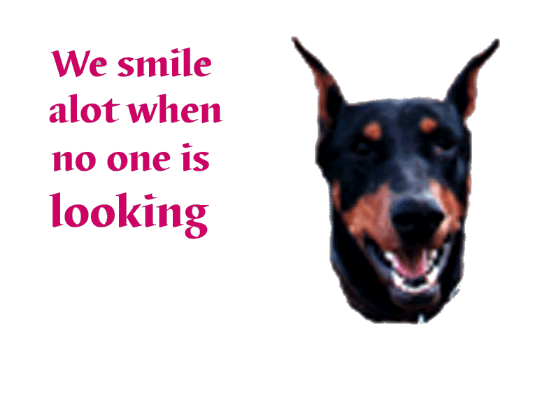 Cheeeeeese