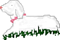 lamb1.gif