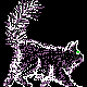 Cat wawe