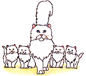 Cat mom with kittens