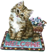 Welcome Cat