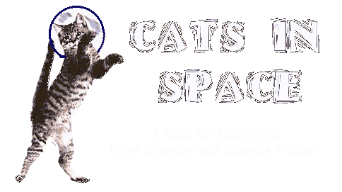 Cats in Space