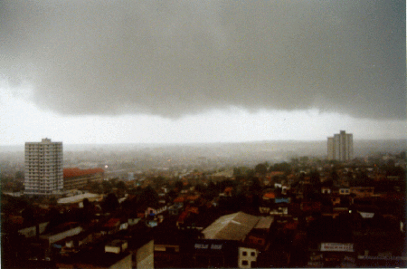 visao2.gif (69478 bytes)