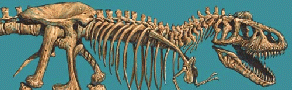 Alannis Morisette?  Anger?  No!  Tyrannosaurus Rex!