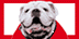 Click on UGA logo for Lady Bulldog's 2008/2009 schedule.