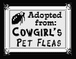 Want to adopt a cute little flea - Click here!